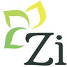 zishta.com favicon