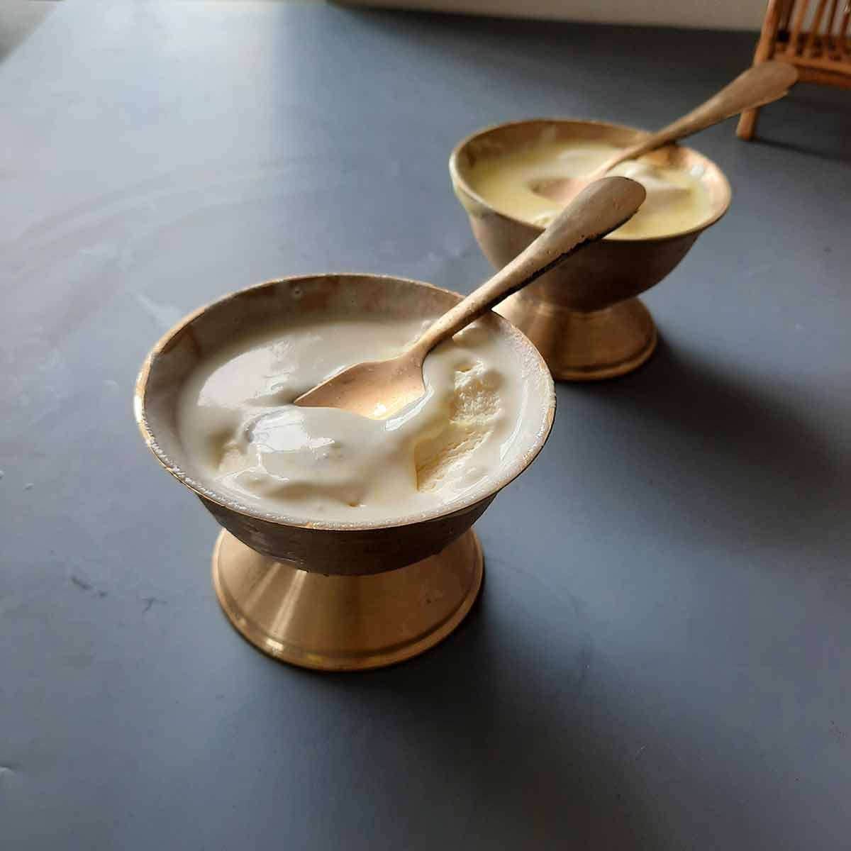 Bronze Kansa Ice Cream Bowls Setof2 2-Zishta Traditional Cookware